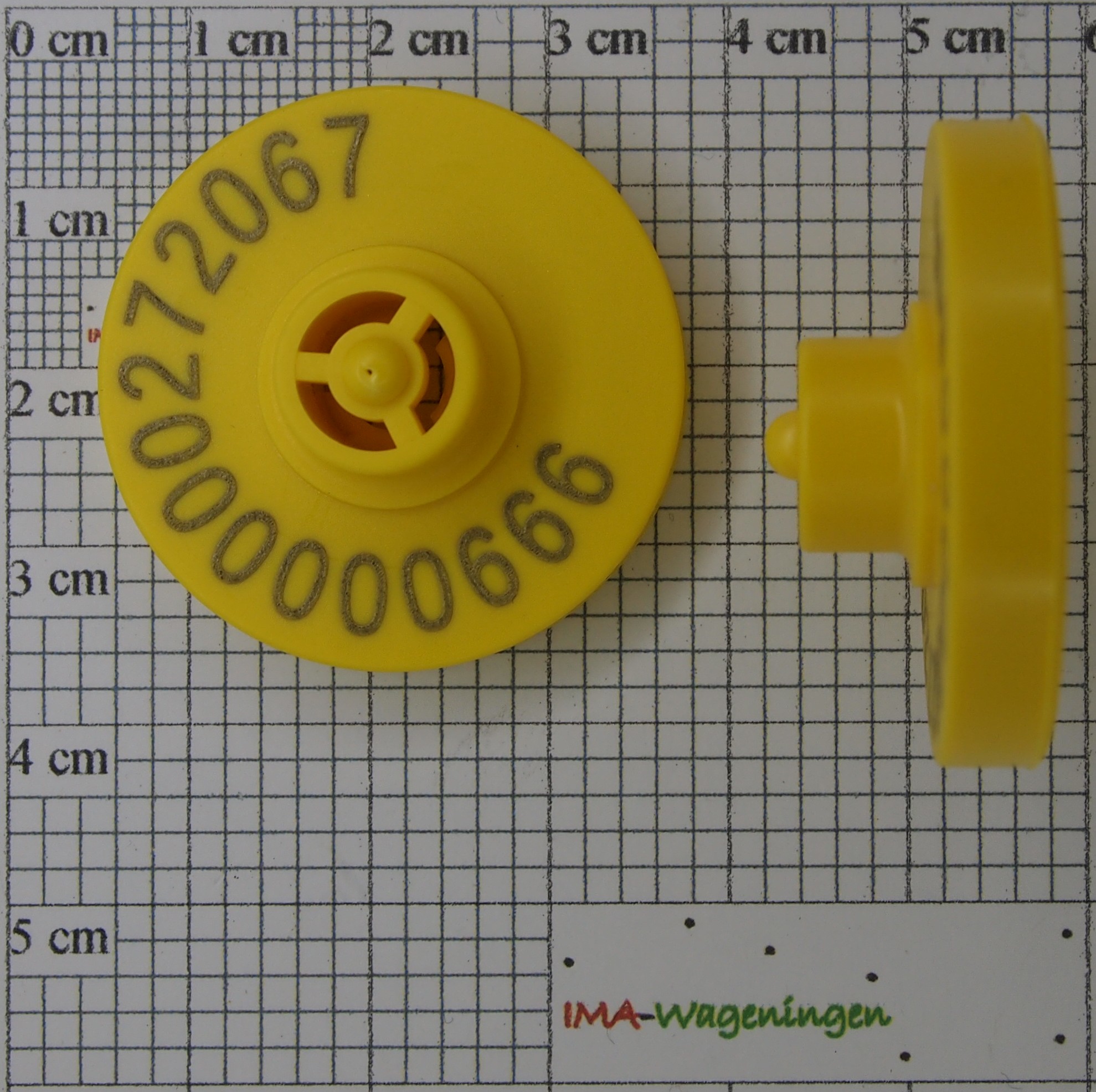 901041.jpg
