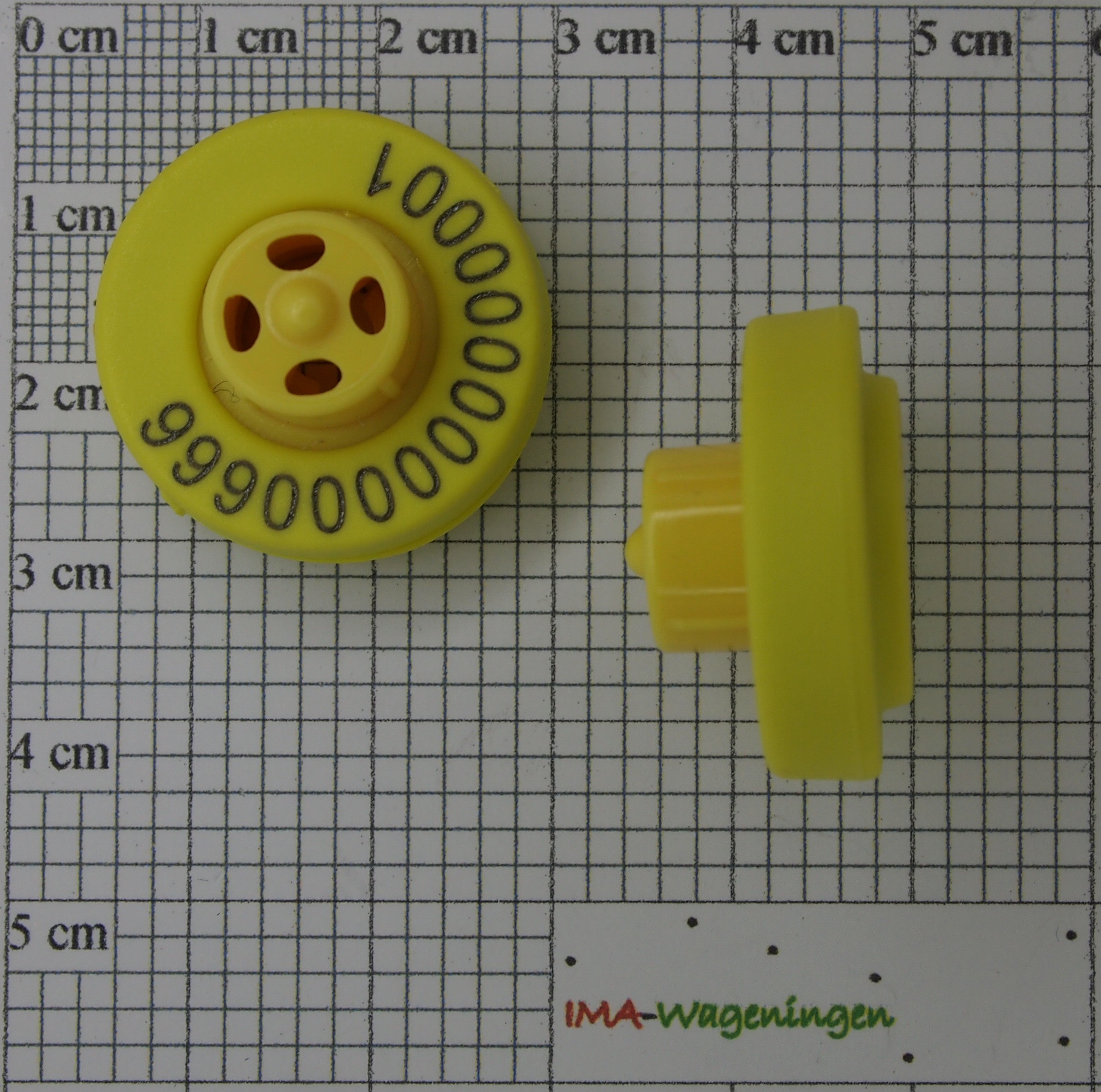 900249.jpg