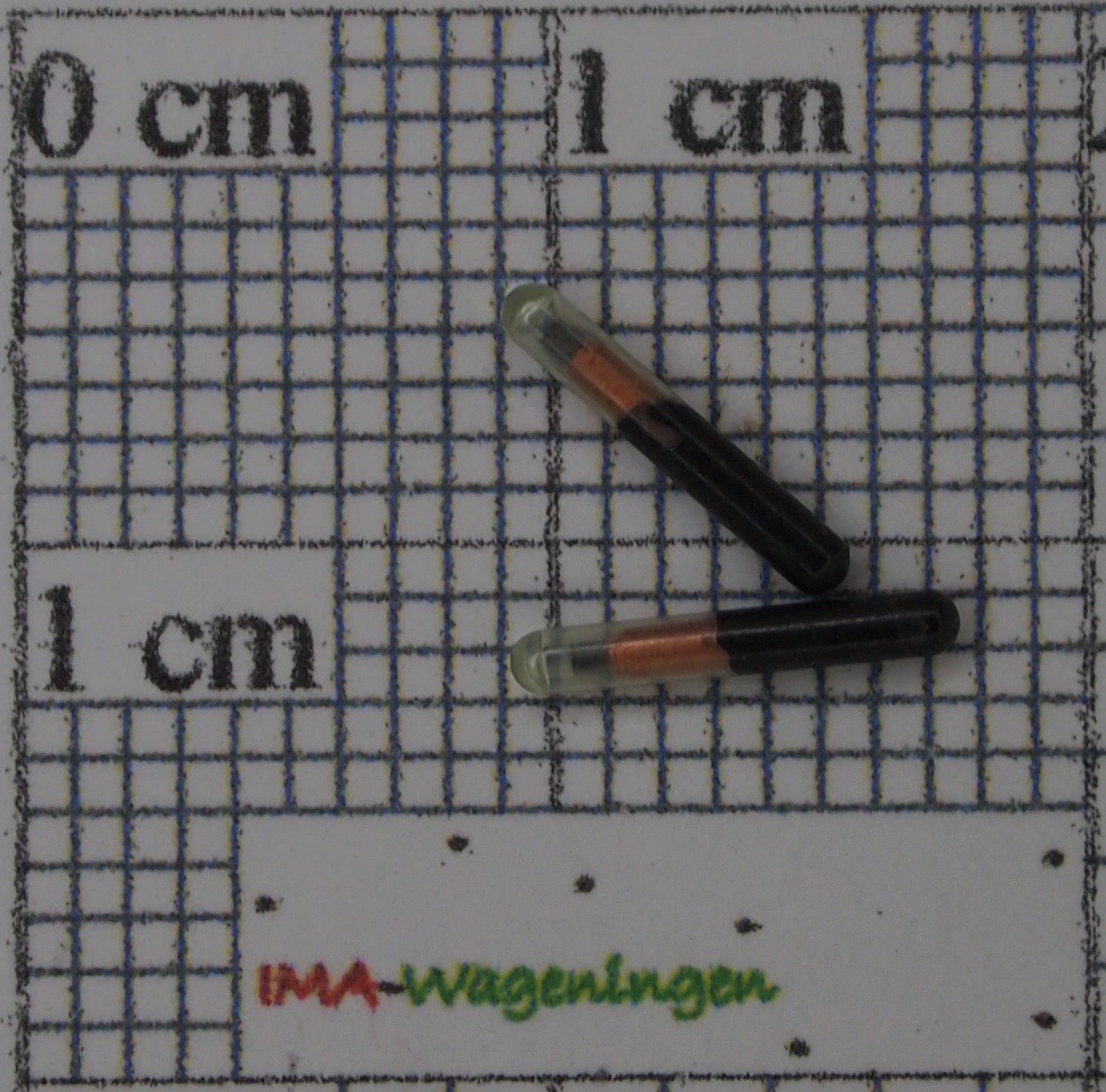 944006.jpg