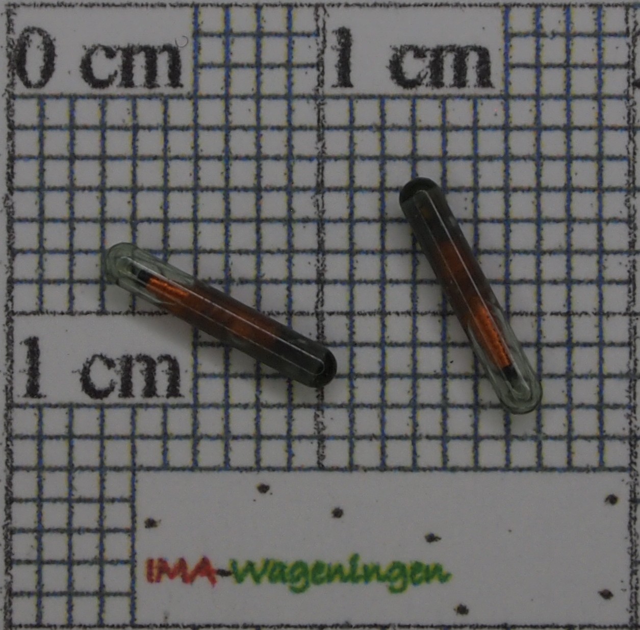975003.jpg