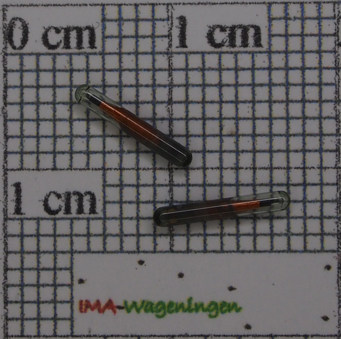 975004.jpg