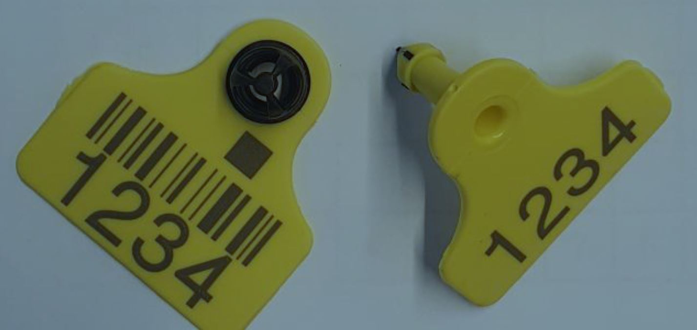 ZD-Flex-S-Plus-Genos.jpg